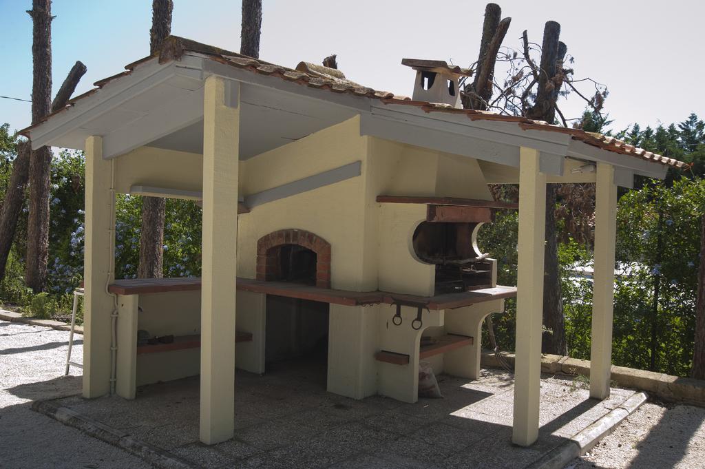 Domus In Viridi Rom